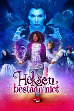 Witches Dont Exist (2014) Poster