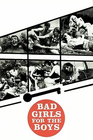 Bad Girls for the Boys (1966) Poster