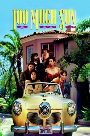 Too Much Sun (1990)