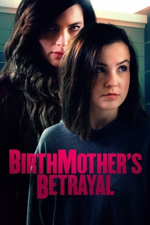 Birthmothers Betrayal (2020) Poster