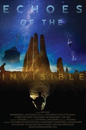Echoes of the Invisible (2020)