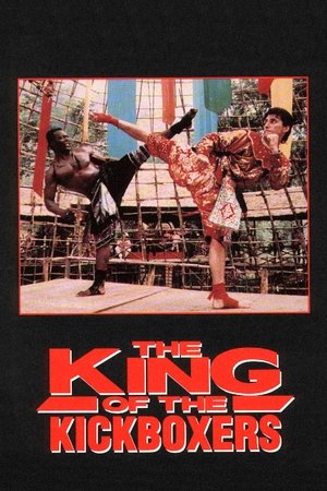 The King of the Kickboxers (1990)
