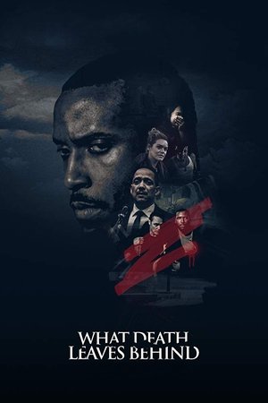 The Kidney (2017)