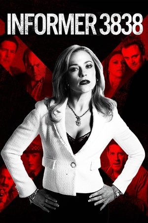 Informer 3838 (2020 )