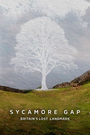 Sycamore Gap Britains Lost Landmark (2025)