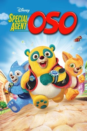 Special Agent Oso (2009 ) Poster