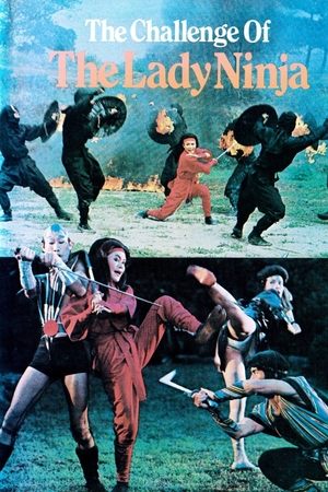 Lang nu shen long jian (1983) Poster