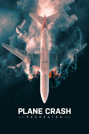 Plane Crash Recreated (2021-) Poster