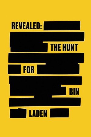 Revealed The Hunt for Bin Laden (2021)