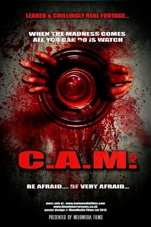 C A M (2021)