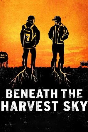 Beneath the Harvest Sky 2013 Poster