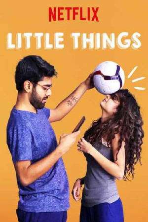 Little Things (2016 ) Poster