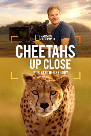 Cheetahs Up Close with Bertie Gregory (2026)