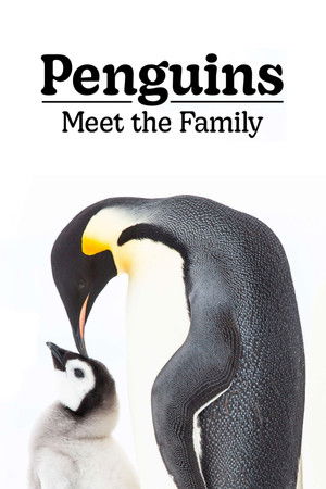 Penguins Meet the Family (2020)