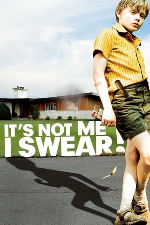 Its Not Me, I Swear (2008)