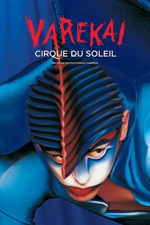 Cirque du Soleil Varekai (2003)