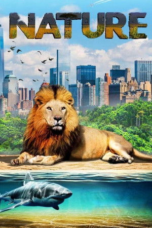 Our Nature (2019)