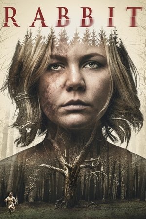 Rabbit (2017)