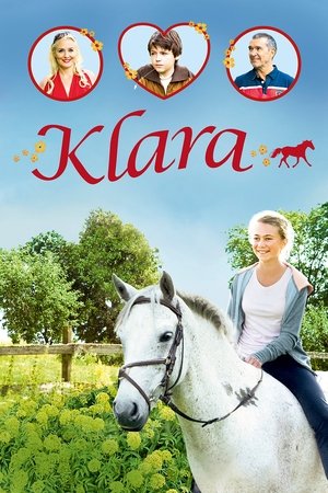 Klara Dont Be Afraid to Follow Your Dream (2010) Poster