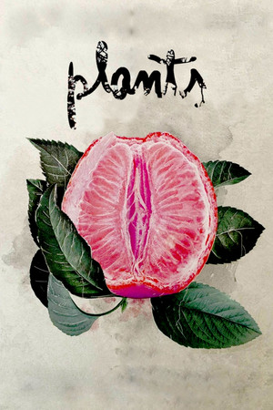 Las Plantas (2015)