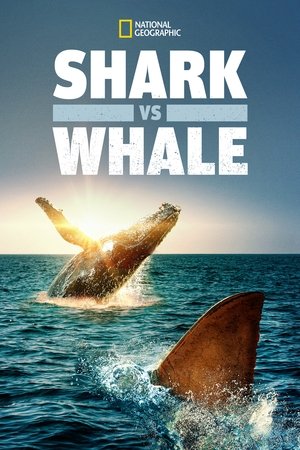 Shark vs. Whale (2020)