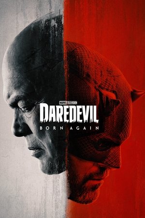 Daredevil Born Again (2025-)