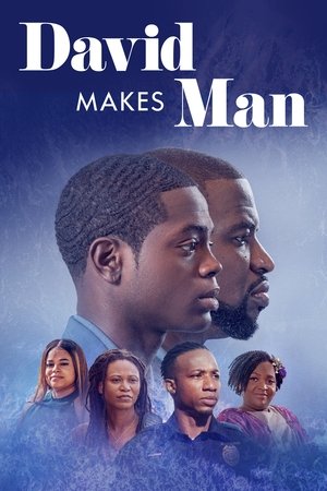 David Makes Man (2019 )