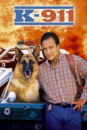 K911 (1999)