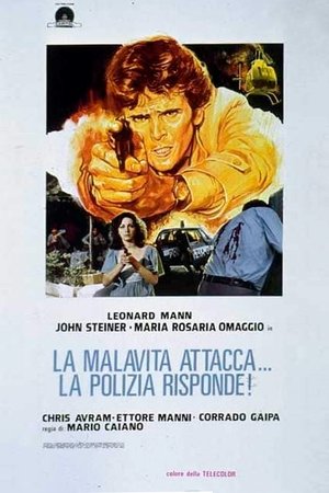 La malavita attacca. La polizia risponde. (1977)