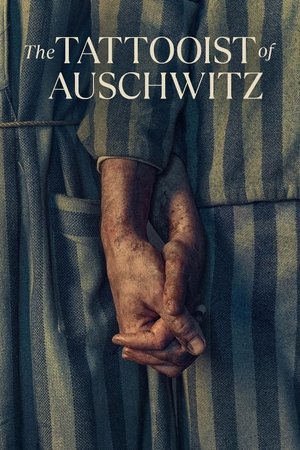 The Tattooist of Auschwitz (2024-)