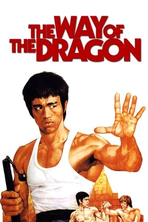 The Way Of The Dragon (1972) Bruce Lee