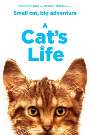Mon chat et moi, la grande aventure de Rrou (2023)
