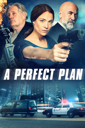 A Perfect Plan (2019)