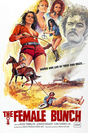 The Female Bunch (1971) Poster