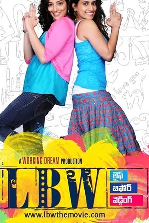 Life Before Wedding (2010)