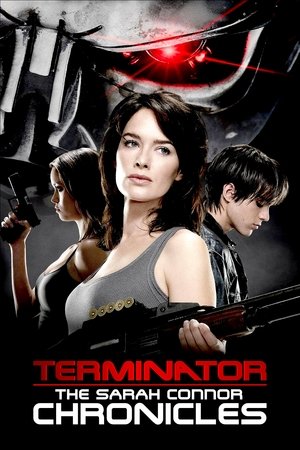 Terminator: The Sarah Connor Chronicles (2008 2009)