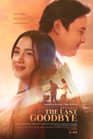 The Last Goodbye (2025)