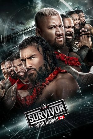 WWE Survivor Series WarGames (2024)