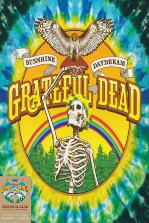 Sunshine Daydream (2013) Poster