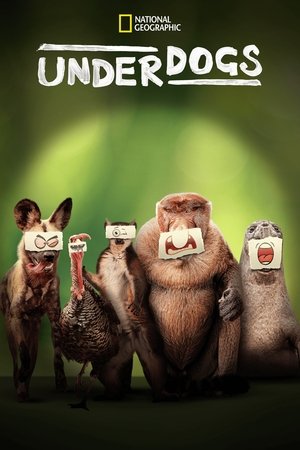 Underdogs (2025-)