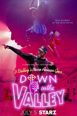 Down in the Valley (2024-) Poster