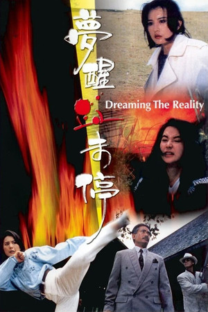 Meng xing xue wei ting (1991)