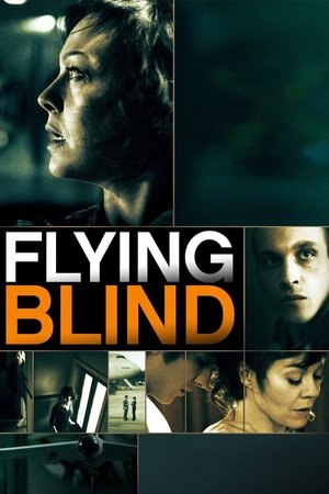 Flying Blind (2012) Poster