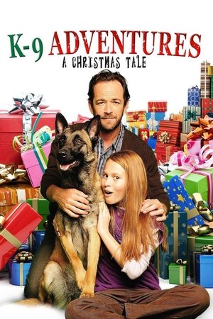 Scoot & Kassies Christmas Adventure (2013)