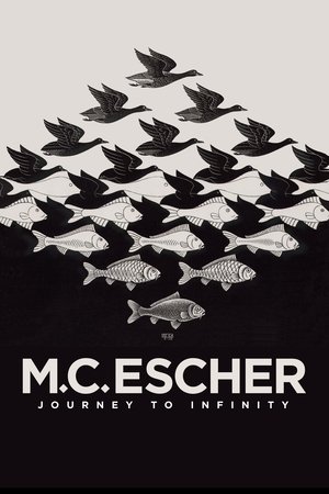 M.C. Escher Journey to Infinity (2018)