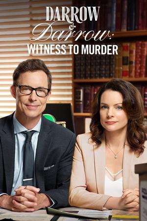 Witness to Murder: A Darrow Mystery (2019) Poster