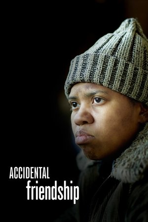 Accidental Friendship (2008)