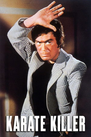 Bodigaado Kiba Hissatsu sankaku tobi (1973)