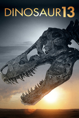 Dinosaur 13 2014