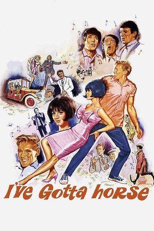 Ive Gotta Horse (1965)